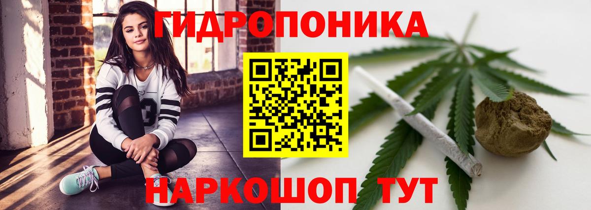 Шишки марихуана THC 21%  Канабис Bruce Banner  Вход с VPN  Вичуга  Бошки Шишки LSD WEED  Канабис сатива 